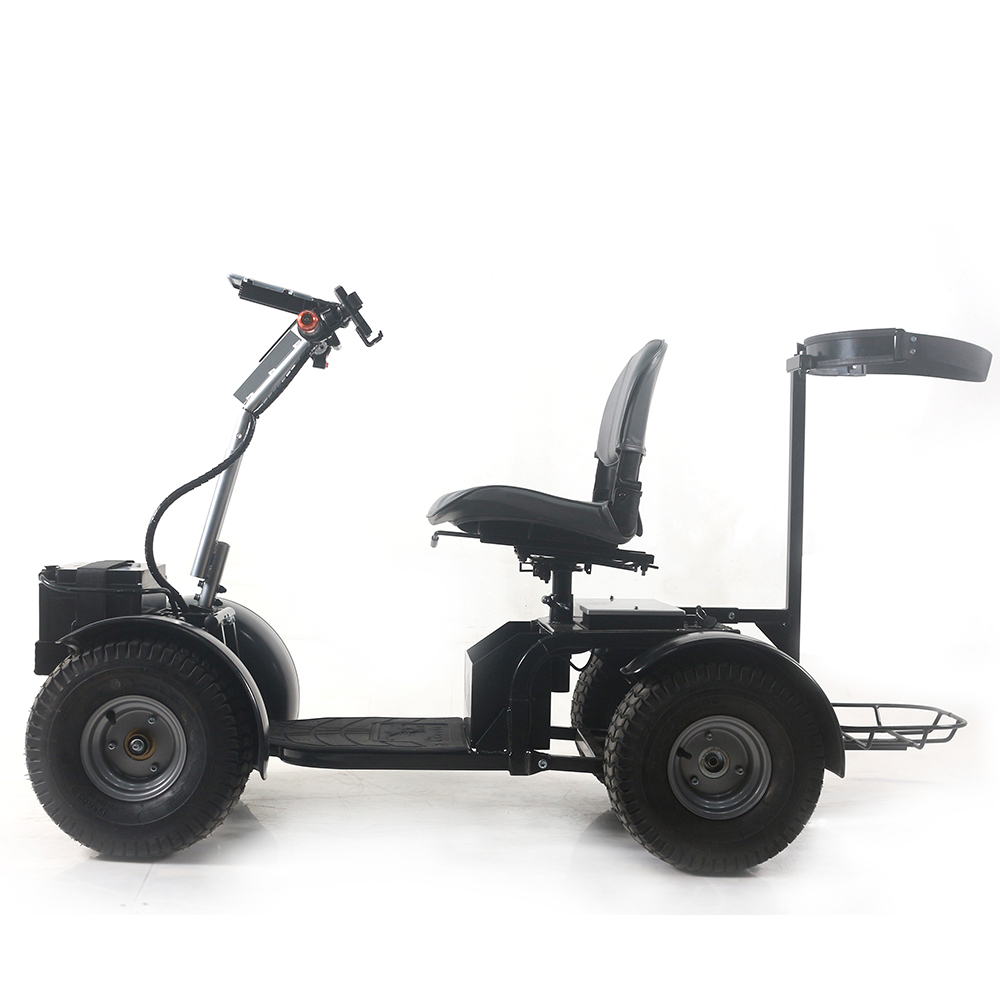 WISKING brushless motor park use mobility scooter for golf
