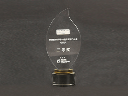 Won the third prize of wheelchair category of the most popular product award in the field of rehabilitation medicine